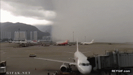 GIF animado (93957) Ah que tienes un vuelo para dentro de una hora tengo una idea que te va a encantar