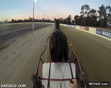 GIF animado (93293) Algo esta mal disenado en este carro o el caballo tiene mucha punteria
