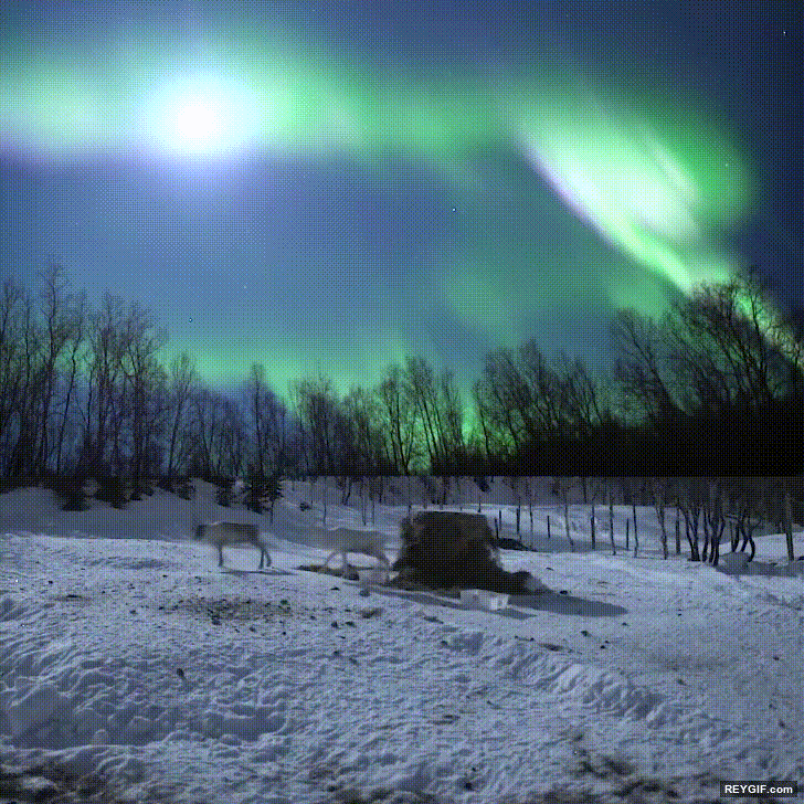 GIF animado (96266) Asi de precioso es el fenomeno de la aurora boreal