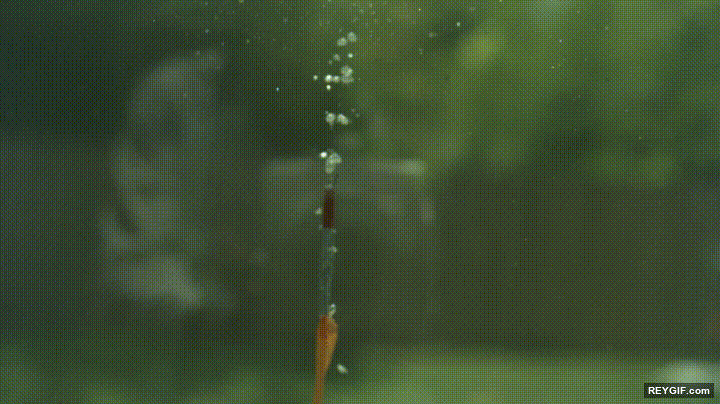 GIF animado (95234) Asi es como funciona una explosion en el agua a camara lenta