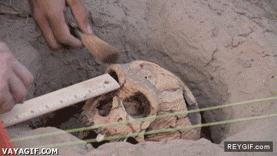 GIF animado (92075) Asi fue como perdi mi trabajo de arqueologo