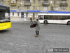 GIF animado (91100) Asi se paran los buses en rusia