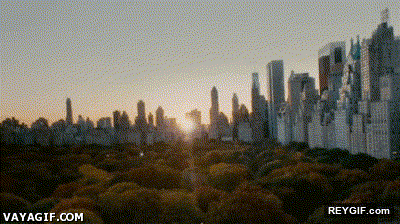 Imagen GIF de Asi son 24 horas en nueva york animado