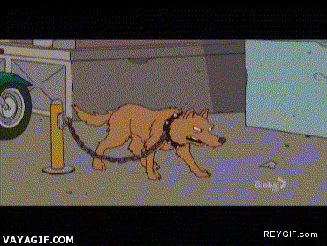Imagen GIF de Asi son la mayoria de los que van de chulos y de listos en comentarios y foros animado
