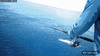 GIF animado (92304) Ataque de tiburon mientras pescas