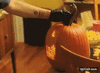 GIF animado (92460) Best calabaza ever