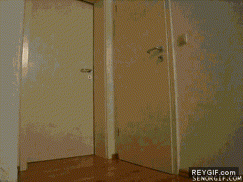 Imagen GIF de Carino ves al armario que te he preparado una sorpresa animado