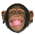 GIF animado (104827) Chimpance riendo