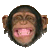 GIF animado (104827) Chimpance riendo