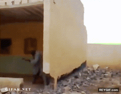 GIF animado (94088) Como no derrumbar una casa version irak