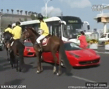 GIF animado (90565) Con que tienes un caballo dibujado en el coche eh