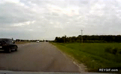 GIF animado (90264) Cualquier sitio es bueno para aterrizar en rusia