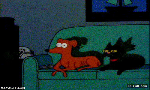 GIF animado (93431) Cuando estas mirando la tele de incognito por la madrugada