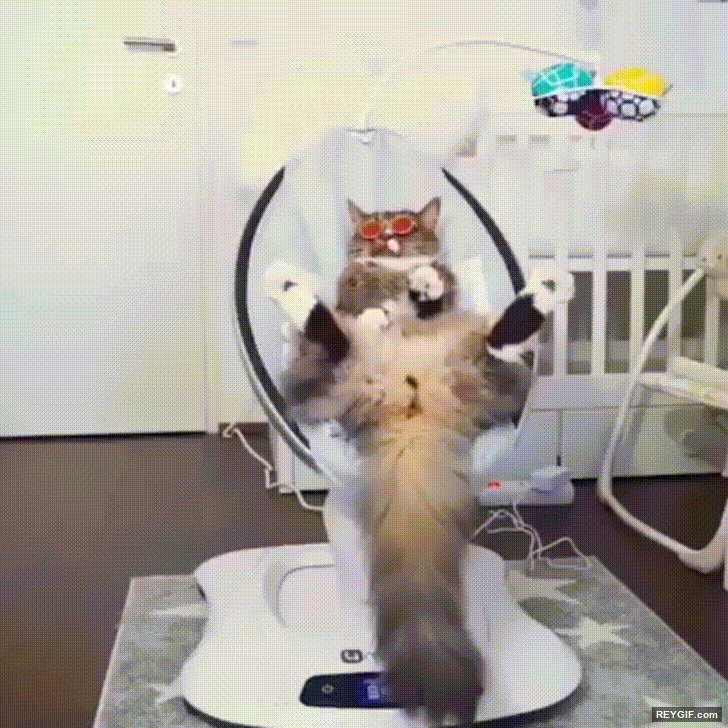 GIF animado (96219) Cuando la gente me pregunta por los planes que tengo para el fin de semana