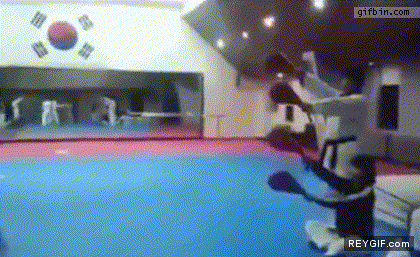 GIF animado (91838) Cuatro patadas en un mismo salto facil