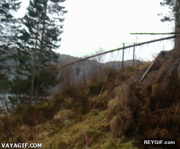GIF animado (94973) Demolicion de un puente nivel ardillas