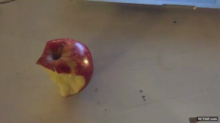 GIF animado (96516) Despues de la moda de la botella llegara la de la manzana
