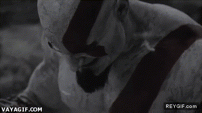 Imagen GIF de Despues de tres dias sin mi momento all bran animado