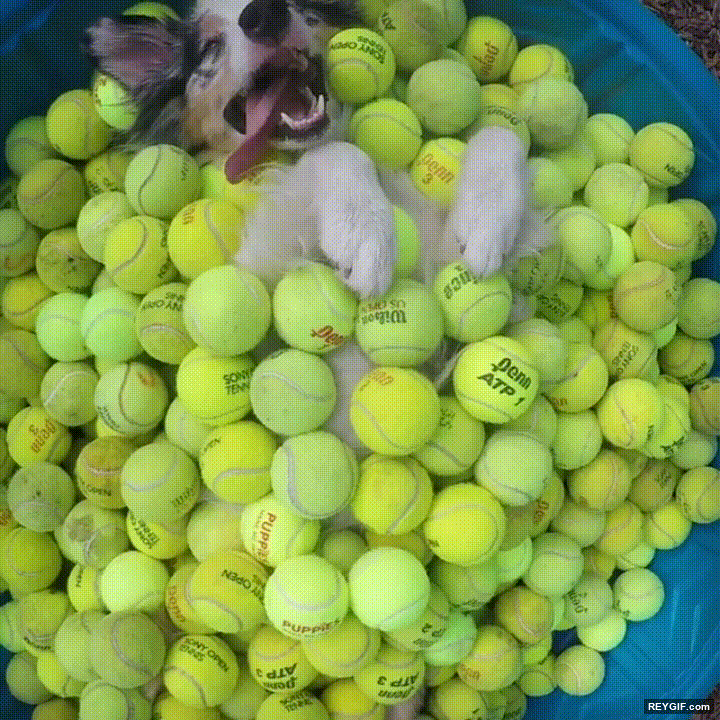 GIF animado (95412) Echarle pelotas descripcion grafica