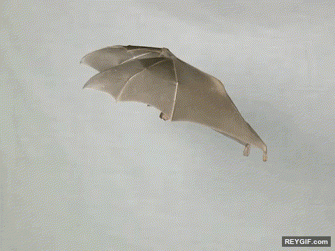 GIF animado (96124) El batir de alas de un murcielago en camara lenta