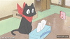 GIF animado (92012) El dia que tu gato descubra las cajas de panuelos