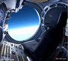 GIF animado (92579) El gato de felix baumgartner