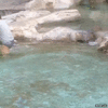 GIF animado (94515) El karma actua cuando robas monedas de la fontana di trevi