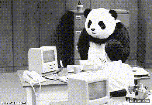 GIF animado (94258) El oso panda al que no se le puede decir que no