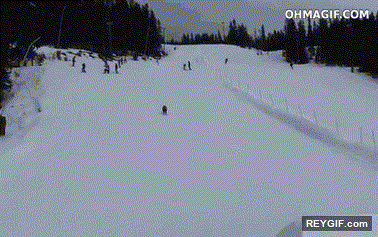 GIF animado (94918) El riesgo de coger demasiada velocidad en una rampa en la nieve
