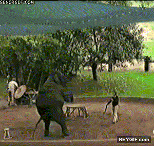 GIF animado (94900) Elefante caminando a dos patas