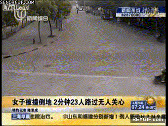 GIF animado (94273) En china los perros te atropellan a ti
