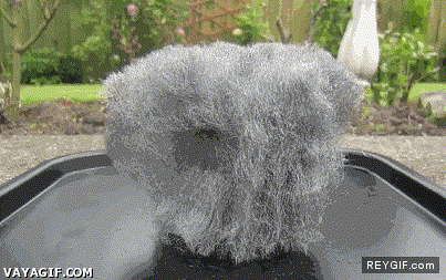 GIF animado (92811) Esto es lo que pasa al juntar lana de hierro con una pila