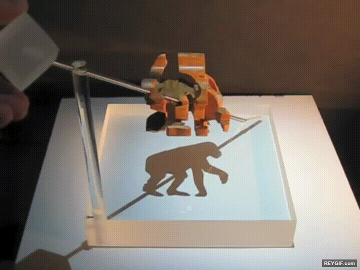 GIF animado (95459) Figura que representa las distintas etapas de la evolucion