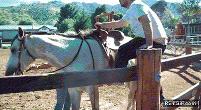 GIF animado (91331) Forma incorrecta de subir a un caballo