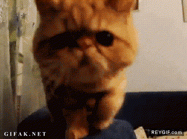 GIF animado (91104) Garfield ha dejado la lasana y se ha pasado al tabaco