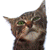 GIF animado (104965) Gato lamiendo