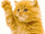 GIF animado (105203) Gato saludando