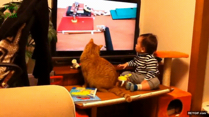 GIF animado (96522) Gato y bebe humano enganchados a lo que ocurre en la television