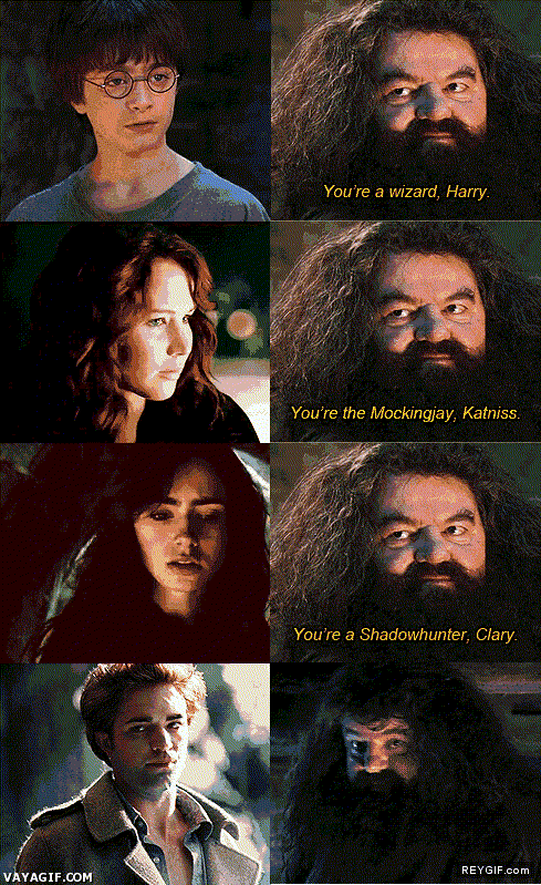 GIF animado (92216) Hagrid sabe lo que se hace
