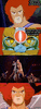 GIF animado (93358) Hasta los pobres thundercats han quedado horrorizados