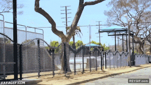 GIF animado (93054) Hay a quien el skate park se le queda pequeno