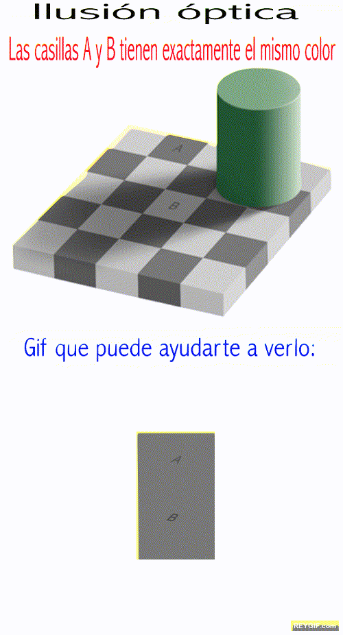 GIF animado (94338) Ilusiones opticas las casillas a y b tienen exactamente el mismo color