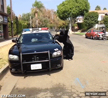 GIF animado (95103) Impactante persecucion de un policia a un oso negro