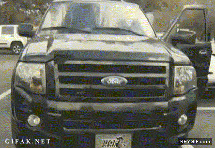 GIF animado (90829) La alarma del coche mas atenta que tendras en la vida