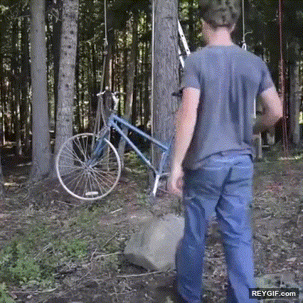 GIF animado (94574) La forma mas saludable de subir a la cabana de arbol