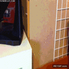 GIF animado (90250) La habitacion de mi gato