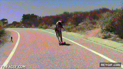 GIF animado (93648) Le ensene a mi perro a montar en patinete y me abandono para recorrer el mundo