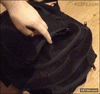 GIF animado (90994) Lo que no debes hacer cuando tu gato se meta en la mochila