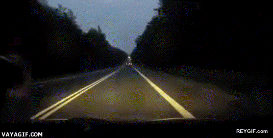GIF animado (94103) Lo tipico vas conduciendo tranquilamente de noche por una carretera cuando