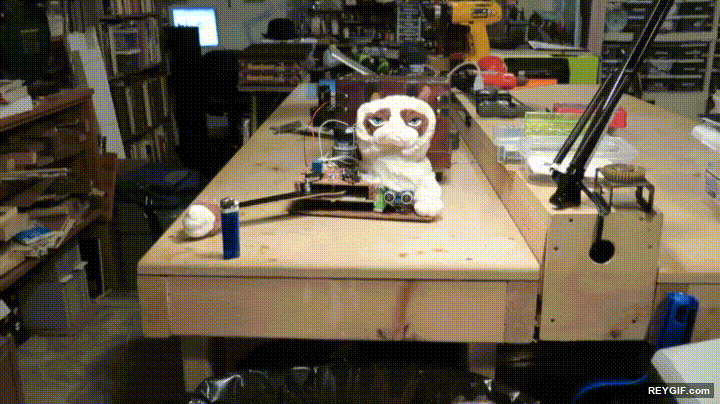 GIF animado (95250) Los avances de la ciencia han hecho posible el gato robot mas real del mundo